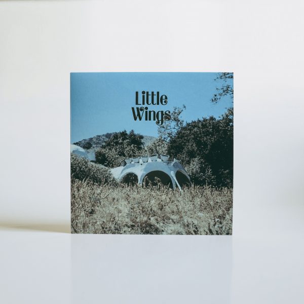 Little Wings - Wonderue Preview 10"! + Wonderue LP distro! - Image 6